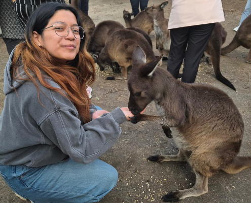 Im Melbourne Zoo 3 Im Melbourne Zoo 3